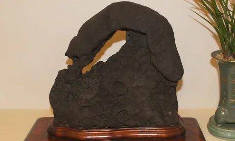 Nghệ thuật Suseok: Sự giao thoa giữa Thiên nhiên và Nhân sinh