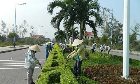 Tỉnh Quảng Nam thực hiện dự án chăm sóc hoa viên, cây xanh, thảm cỏ có trị giá hơn 2,1 tỷ đồng