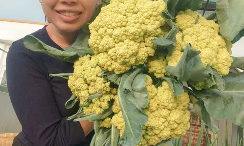 Bà mẹ 3 con biến sân thượng 30m² thành “nông trại mini” giữa TP. HCM