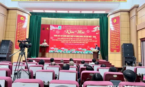 Khai mạc trưng bày cây cảnh nghệ thuật xã Ninh Giang lần thứ nhất năm 2026