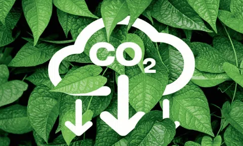 Quy định về sàn giao dịch các-bon trong nước