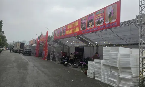 Bắc Ninh: Chuẩn bị hàng nghìn mét vuông không gian trưng bày hoa xuân