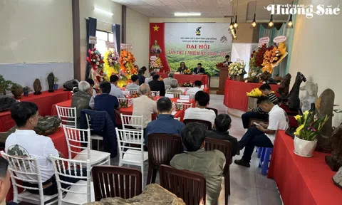 Đá cảnh Bảo Lộc: Từ phong trào tự phát đến hành trình chuyên nghiệp hóa