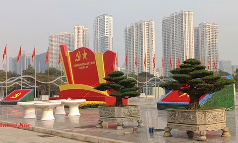 Bàn giao Cây cảnh nghệ thuật làm đẹp không gian Đại hội XIV