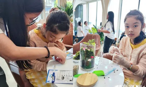 Câu lạc bộ Thủy sinh cảnh Việt Nam phối hợp cùng The Institute of Viécie tổ chức Workshop Terrarium mang tên CHẠM