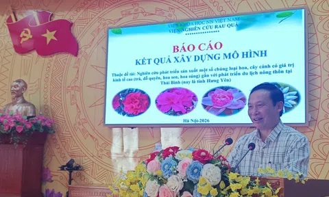 Đánh giá kết quả mô hình nhân giống và sản xuất hoa, cây cảnh tại HTX Hoa sen Vân Đài