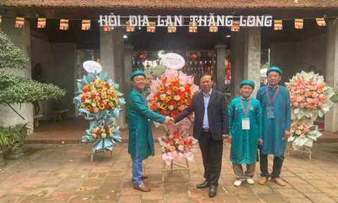 Hội thi Địa Lan Thăng Long 2026: Từ thú chơi tao nhã đến bài toán phát triển ngành lan Việt Nam