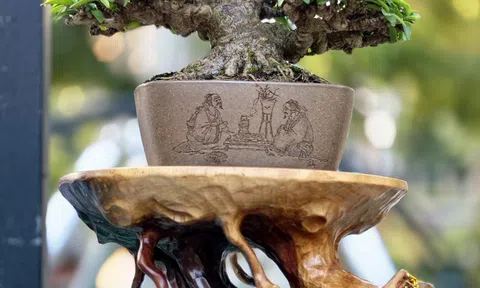 Vinh danh nghệ nhân Bonsai tại Hội Hoa Xuân TP.HCM - 2026