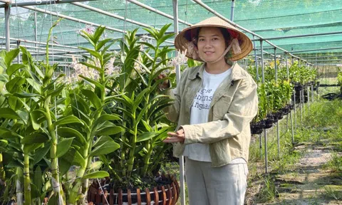 Thạch Thị Kim Hoa: Một đóa lan giữa đất Long Hòa