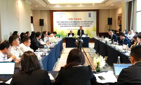 Sửa đổi Nghị định 58: Tháo gỡ nút thắt để bảo hiểm nông nghiệp phát triển bền vững