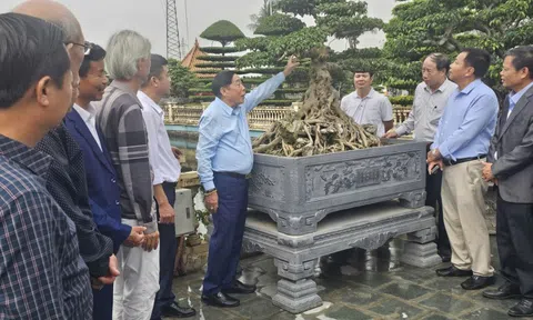 Khơi dậy niềm tự hào của người làm sinh vật cảnh Bắc Ninh