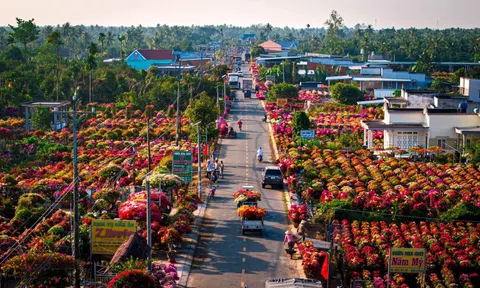 Hội Sinh vật cảnh Việt Nam gia nhập Hiệp hội Quốc tế các Nhà sản xuất Hoa và Cây cảnh (AIPH)