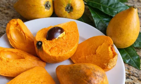 Ít ai ngờ quả vàng trong vườn quê Việt lại chứa nhiều dưỡng chất đến vậy