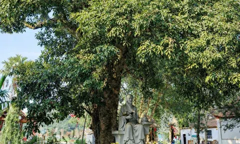 Cây vải gần 300 năm tuổi ở chùa Tượng Sơn – chứng tích sinh thái gắn với cuộc đời của Hải Thượng Lãn Ông