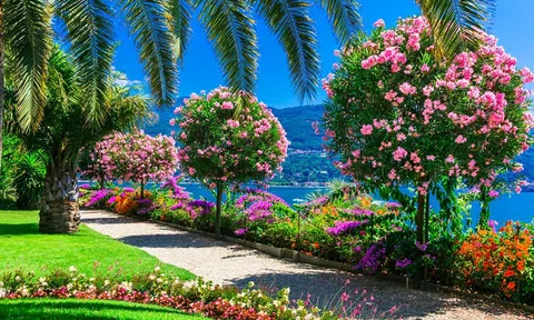 AIPH - tổ chức định hình ngành hoa và cây cảnh toàn cầu