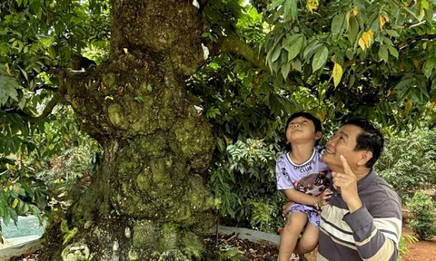 Quả ngọt 20 năm đam mê, nhiệt huyết với sinh vật cảnh