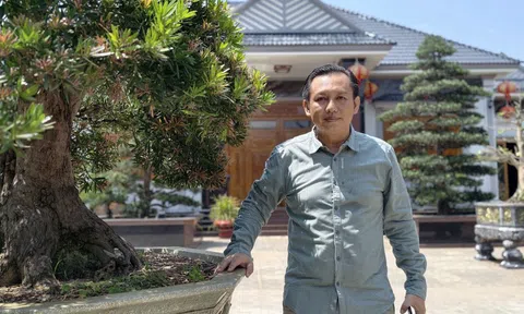 Giao thoa giữa kiến trúc truyền thống và triết lý nhân sinh trong không gian Việt