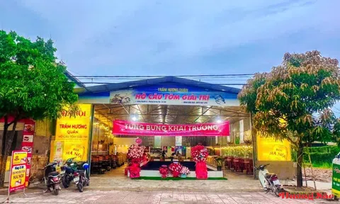 Hà Tĩnh: Câu tôm giải trí – mô hình kinh doanh độc đáo hút khách ngày cuối tuần