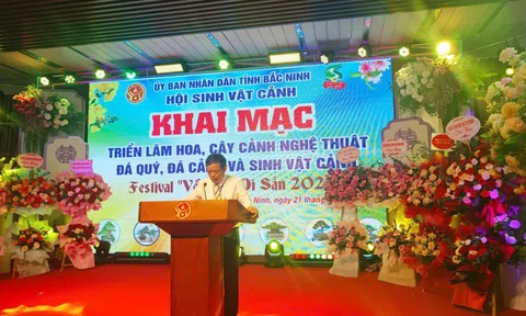 Triển lãm hoa cây cảnh nghệ thuật chào mừng Festival “Về miền di sản 2026”