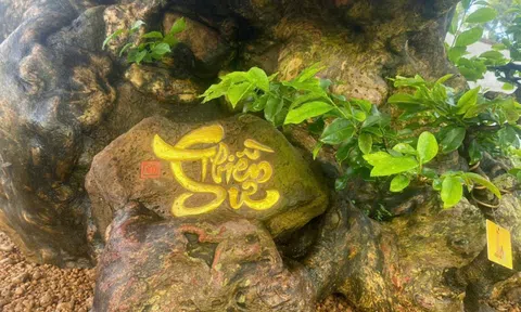 ​"Thiền Sư": Cốt cách Chồi Mồi giữa lòng phố núi Pleiku