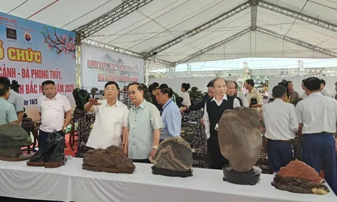 Festival Sinh vật cảnh Bắc Ninh – nơi Suiseki cất lời giữa miền Kinh Bắc