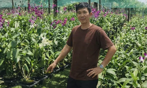 TP.HCM: Không cần đất rộng, vẫn kiếm tiền tỷ nhờ trồng lan