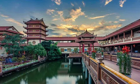 Ngát hương những nhành lan toả từ tâm huyết sư trụ trì