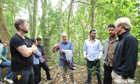 LoCoFoRest: Tăng cường năng lực phục hồi rừng và sinh kế bền vững