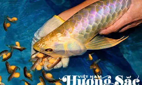 Hoàng Mạnh Long: Người dệt "giấc mơ rồng" & hệ sinh thái đa giá trị