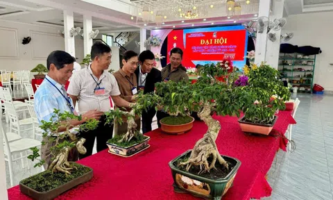 Phong trào sinh vật cảnh xã Krông Năng, tỉnh Đắk Lắk – 15 năm một chặng đường