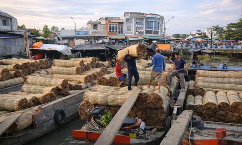Nhịp sống đặc biệt tại làng chiếu trăm năm ở Định Yên, Đồng Tháp