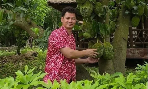 Nghệ sĩ Xuân Bắc chăm vườn, trồng rau quả tại nhà riêng