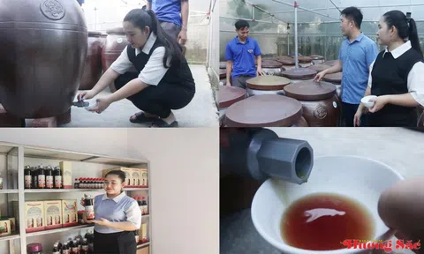 Hà Tĩnh: Nuôi con côn trùng "đặc sản" thơm cay mở lối làm giàu