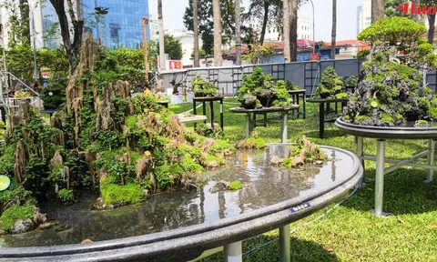 Vinh danh những bàn tay tài hoa tại Hội hoa Xuân TP.HCM 2026