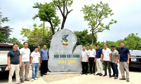 Làng đá Ba Lá: Đánh thức “mỏ vàng” sinh vật cảnh xứ Thanh