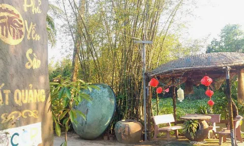 Khúc độc huyền bên dòng sông Đào: Khi “lộc trời” giao thoa cùng dáng kiểng xứ Quảng