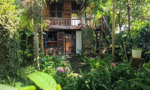 Chuyện kể những chàng trai Ê đê “đưa rừng về nhà”