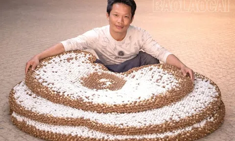 Nuôi ong đất: Hướng đi mới mang lại thu nhập cho thanh niên vùng cao