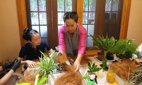 Cocodama – Khi xơ dừa Việt “nảy mầm” nghệ thuật chữa lành giữa phố thị