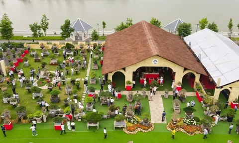 Khai mạc Triển lãm Mùa xuân – Nghệ thuật Bonsai 2026