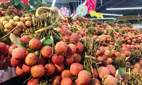 Bắc Ninh kết nối doanh nghiệp, tìm đầu ra cho vải thiều niên vụ 2026