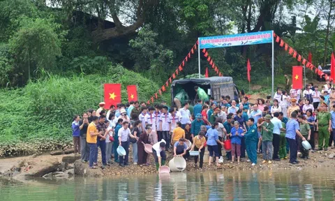 Thả hơn 4 tạ cá giống xuống sông Lô để phục hồi nguồn lợi thủy sản