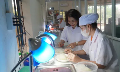 Phát triển ngành yến: Cần một chiến lược cho tài nguyên sinh học đặc biệt