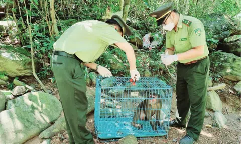 Yêu cầu xử lý nghiêm, xóa bỏ tụ điểm buôn bán động vật hoang dã trái phép trên toàn quốc