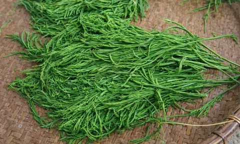 Từ cây dại mọc hoang thành đặc sản: Loại rau “có mùi lạ” nhưng ăn rồi lại nhớ