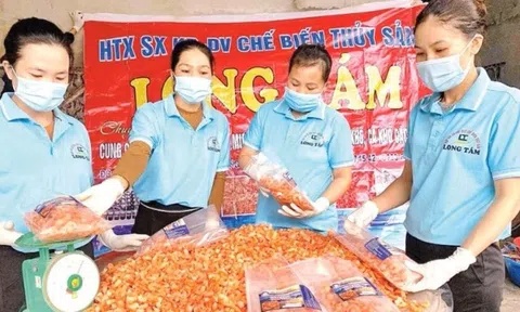 Nâng tầm đặc sản làng nghề từ mô hình chế biến OCOP