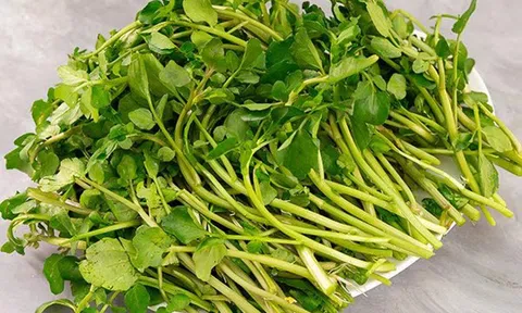 Loại rau bình dân của người Việt được Mỹ chấm điểm dinh dưỡng tuyệt đối