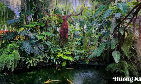 Quán cà phê độc đáo như một "ốc đảo" bên dòng sông Hàn