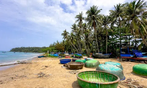 Tam Hải – làng chài ven biển gìn giữ nhịp nghề giữa sóng gió