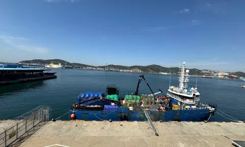 Từ “thẻ vàng” đến tái cấu trúc nghề cá: Bài học từ Hàn Quốc và cơ hội cho Việt Nam